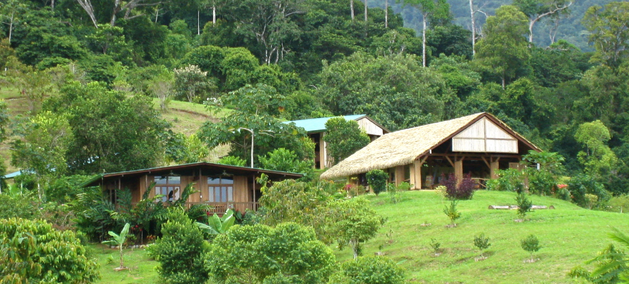 Nia in Costa Rica